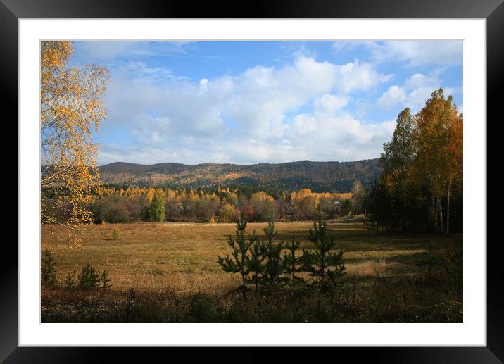 Autumn landscape Framed Mounted Print by Larisa Siverina