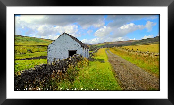 "DERELICT BARN ON THE MOORS OF UPPER TEESDALE" Framed Mounted Print by ROS RIDLEY