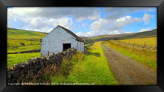 "DERELICT BARN ON THE MOORS OF UPPER TEESDALE" Framed Print by ROS RIDLEY