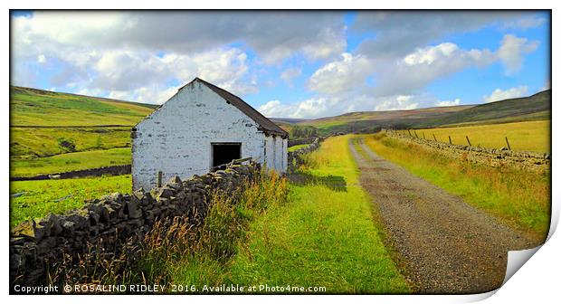"DERELICT BARN ON THE MOORS OF UPPER TEESDALE" Print by ROS RIDLEY