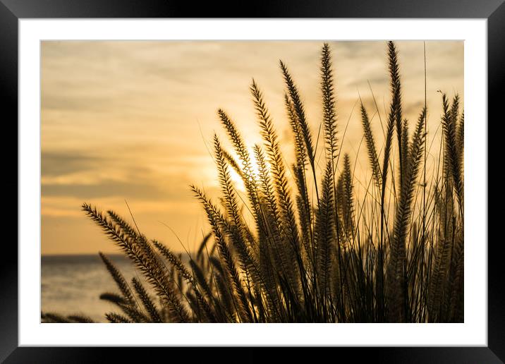  Sunset at the Spa  Views around the Caribbean isl Framed Mounted Print by Gail Johnson