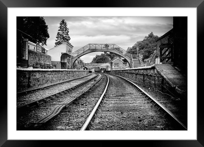 Train Tracks Framed Mounted Print by sean clifford