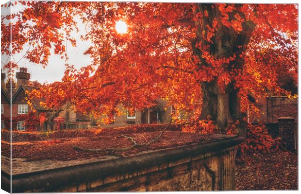 Autumn Colours Canvas Print by Dawn Cox