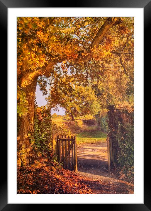 Through the Gate Framed Mounted Print by Dawn Cox
