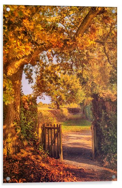 Through the Gate Acrylic by Dawn Cox