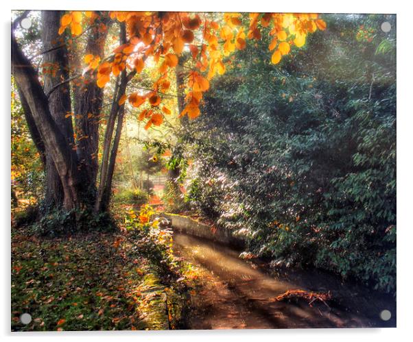 Autumn Light Acrylic by Dawn Cox