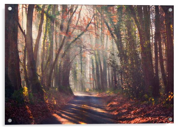 Forest Light Acrylic by Dawn Cox