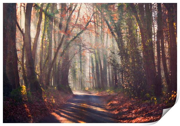 Forest Light Print by Dawn Cox