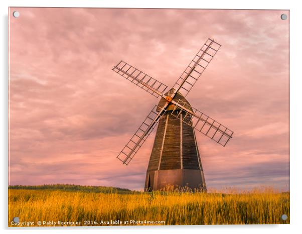 Rottingdean Windmill  Acrylic by Pablo Rodriguez