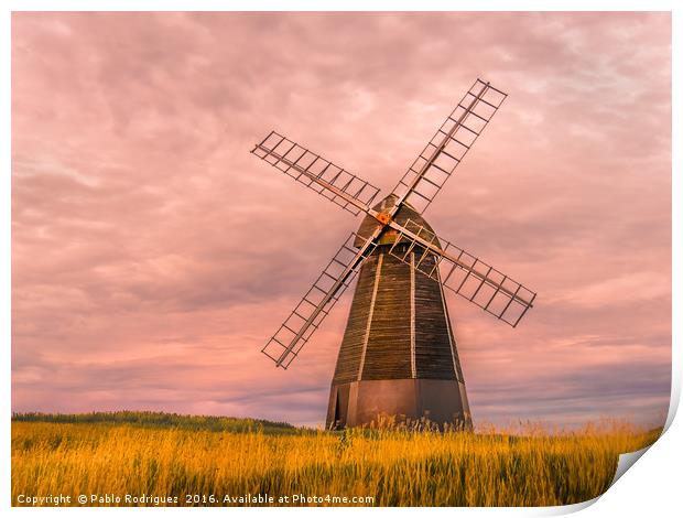 Rottingdean Windmill  Print by Pablo Rodriguez