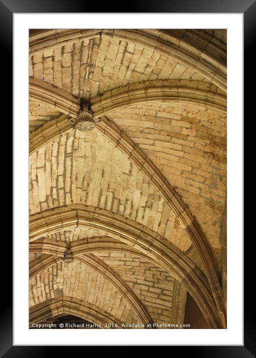 Ceiling of Cloisters, Toledo Cathedral Framed Mounted Print by Richard Harris