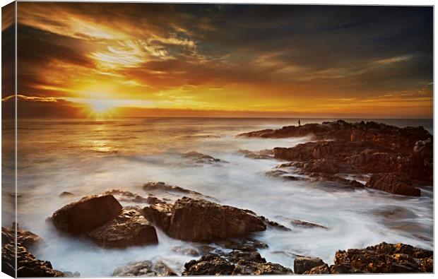 Boambee Headland Sunrise Canvas Print by Richard Pike