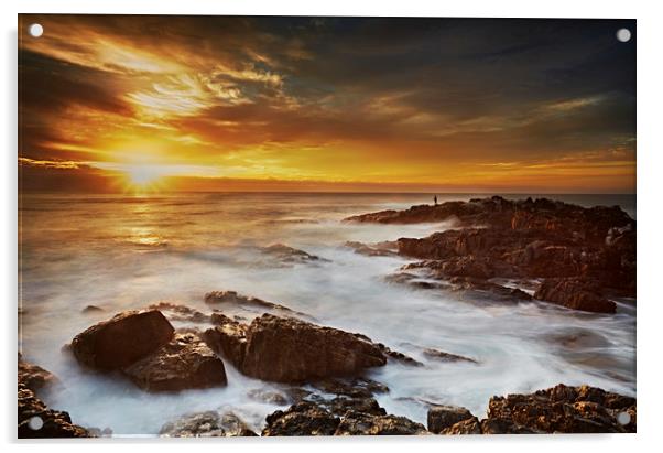 Boambee Headland Sunrise Acrylic by Richard Pike