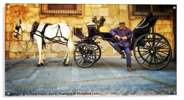 Horse and carriage, Cordoba, Spain Acrylic by Richard Harris
