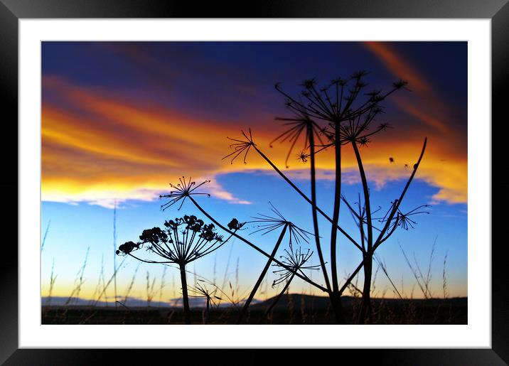 Shell Bay Silhouettes, Scotland. Framed Mounted Print by Aj’s Images