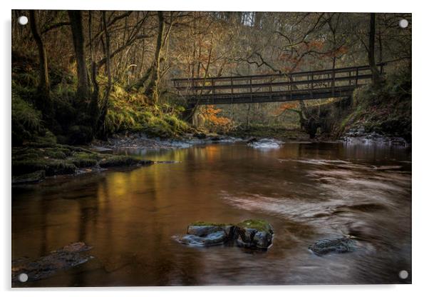 The little bridge on the way to Sgwd Gwladys / Lad Acrylic by Bryn Morgan