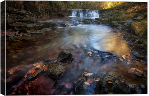 The River Neath Canvas Print by Leighton Collins