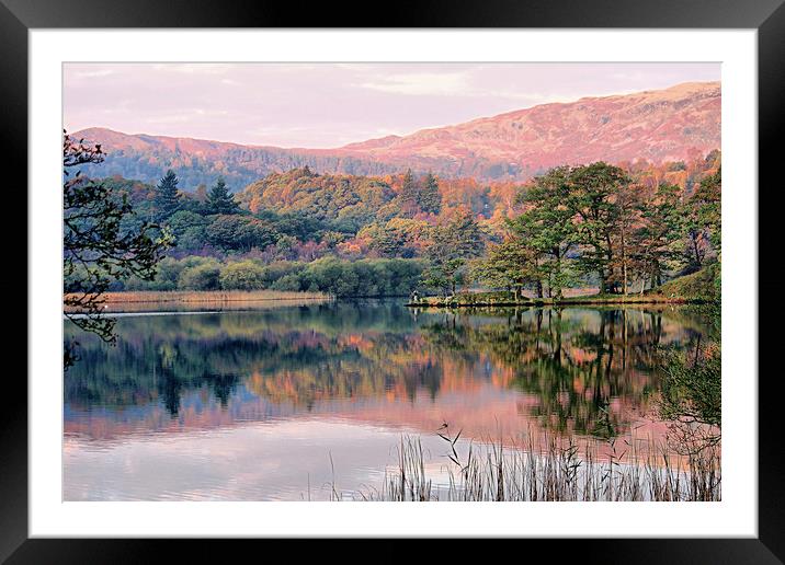 Rydal Water in Autumn Framed Mounted Print by Irene Burdell