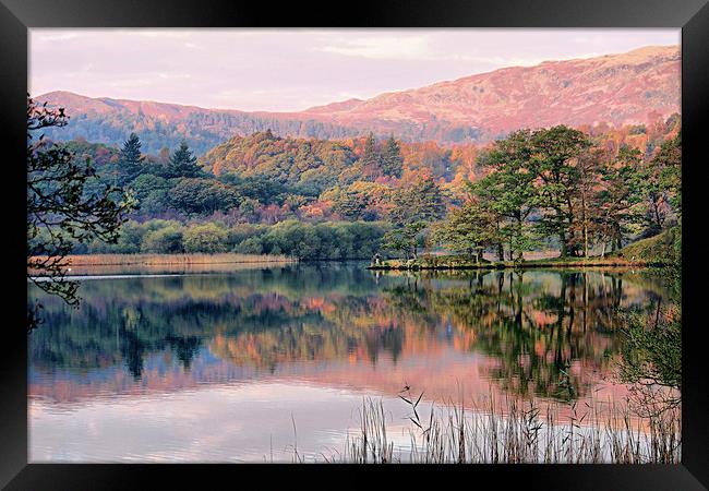 Rydal Water in Autumn Framed Print by Irene Burdell