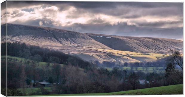 Pendle Hill  Canvas Print by Irene Burdell