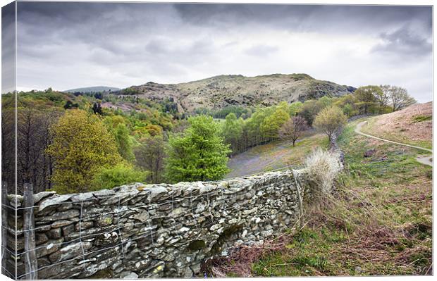 Dry Stone Wall Canvas Print by Stephen Mole