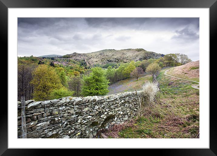 Dry Stone Wall Framed Mounted Print by Stephen Mole