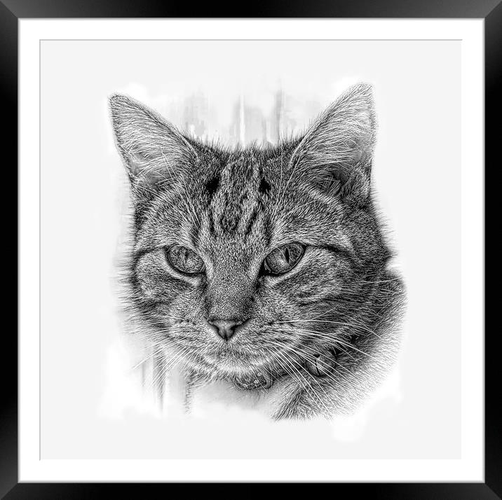 Beauty in pencil Framed Mounted Print by JC studios LRPS ARPS