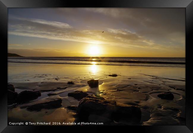 Lone Seagull at Whitmore Bay Framed Print by Tony Pritchard