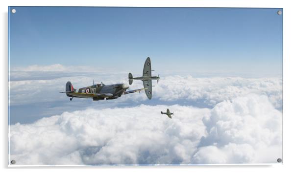 Spitfire Mk IX break Acrylic by J Biggadike
