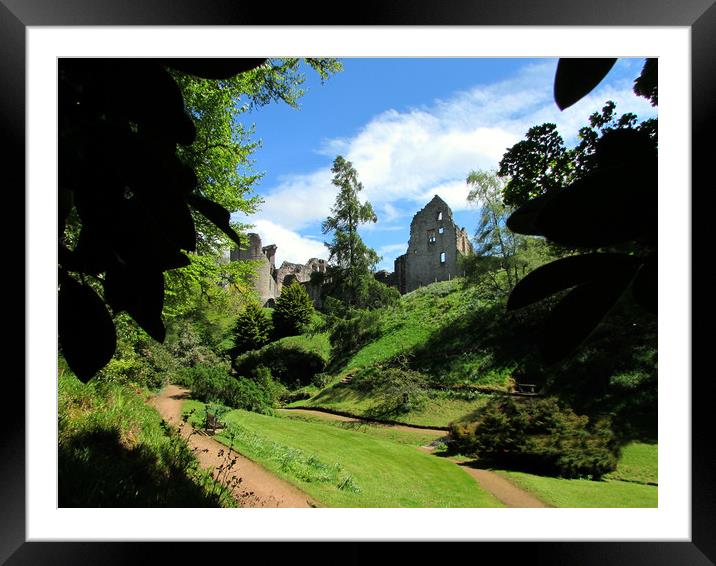   Kildrummy castle and gardens                     Framed Mounted Print by alan todd