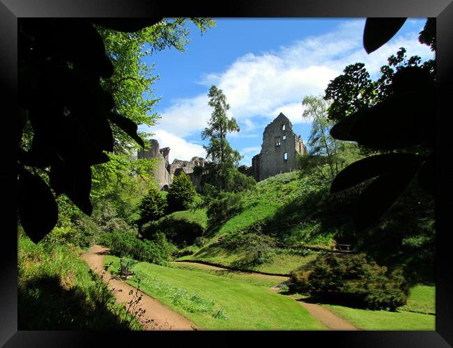  Kildrummy castle and gardens                     Framed Print by alan todd