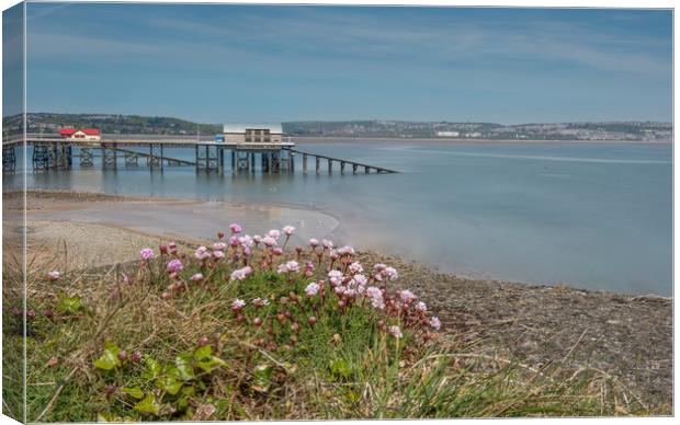 Mumbles pier with Pinks in the foreground. Canvas Print by Bryn Morgan