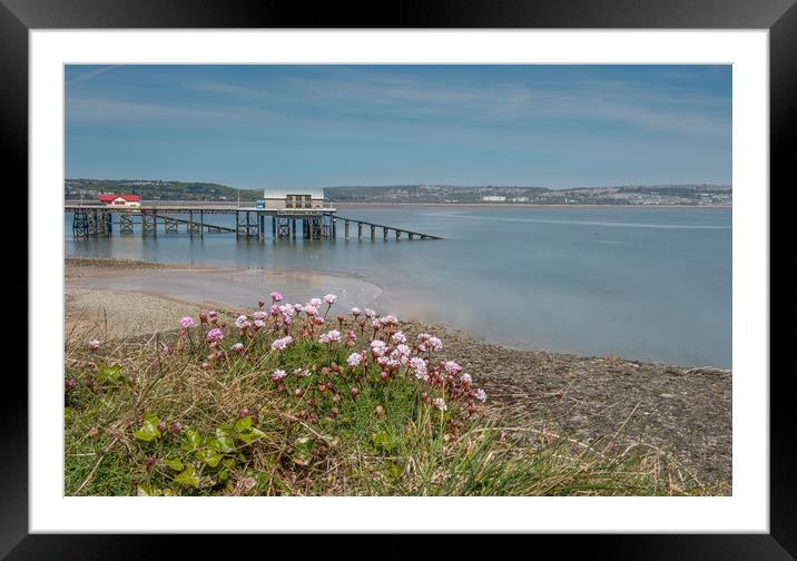 Mumbles pier with Pinks in the foreground. Framed Mounted Print by Bryn Morgan