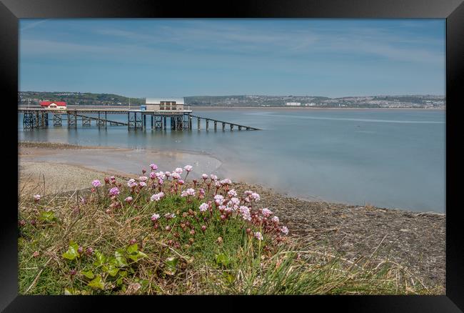 Mumbles pier with Pinks in the foreground. Framed Print by Bryn Morgan