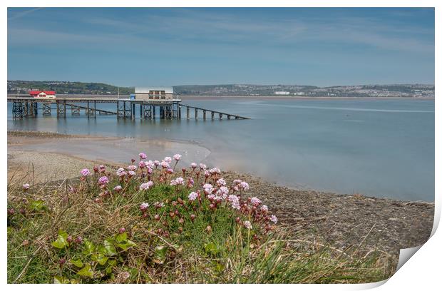 Mumbles pier with Pinks in the foreground. Print by Bryn Morgan
