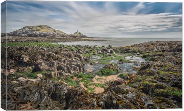 Mumbles lighthouse from Bracelet bay. Canvas Print by Bryn Morgan