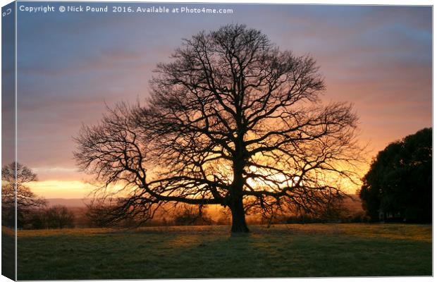Tree and Winter Sunset Canvas Print by Nick Pound