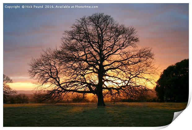 Tree and Winter Sunset Print by Nick Pound
