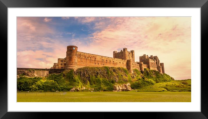 The Majestic King Framed Mounted Print by Naylor's Photography