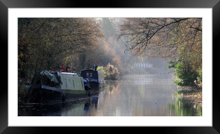 Kennet and Avon Canal narrow boats Framed Mounted Print by Tony Bates