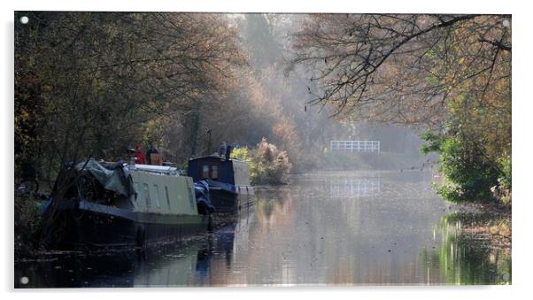 Kennet and Avon Canal narrow boats Acrylic by Tony Bates