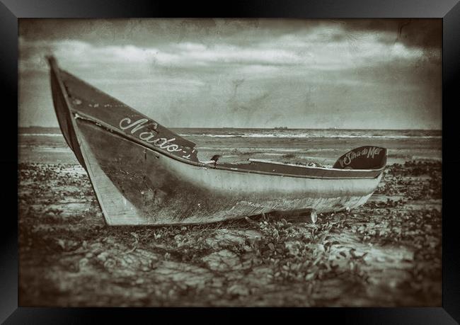 Stranded - Wet Plate Vintage Collection Framed Print by Hemerson Coelho