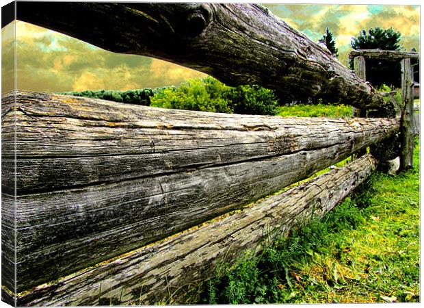 Old Farm Fence Canvas Print by Mark Sellers