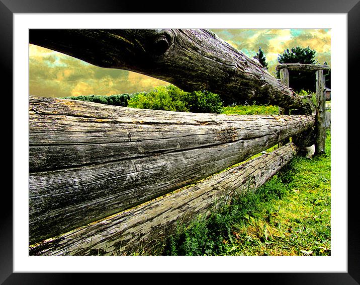 Old Farm Fence Framed Mounted Print by Mark Sellers