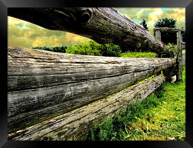 Old Farm Fence Framed Print by Mark Sellers