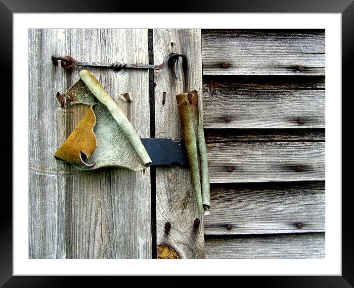 Old Shed Door Framed Mounted Print by Mark Sellers