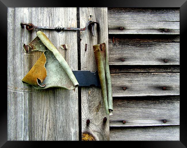 Old Shed Door Framed Print by Mark Sellers