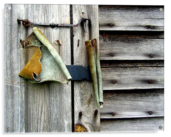 Old Shed Door Acrylic by Mark Sellers
