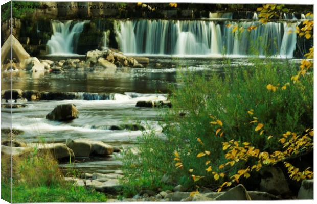 GREEN WATERFALL Canvas Print by andrew saxton