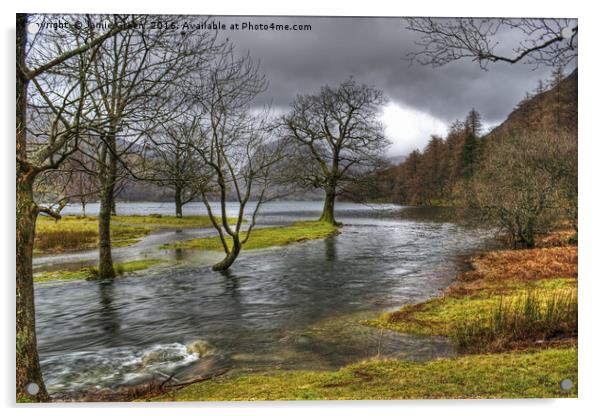 Buttermere Dubs Acrylic by Jamie Green